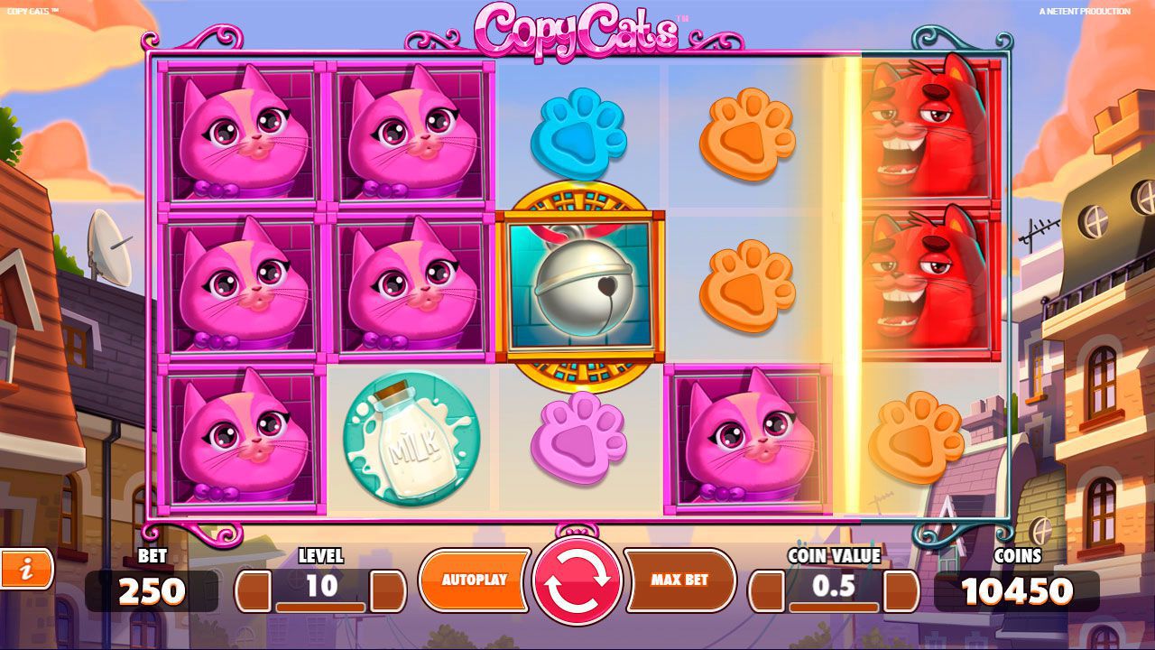 Copy Cats Feature Copy Cats Feature