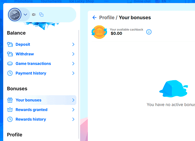 Go to the Bonuses and Promotions section Go to the Bonuses and Promotions section