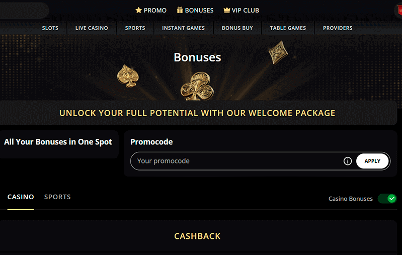 Bonuses and Promotions section Bonuses and Promotions section