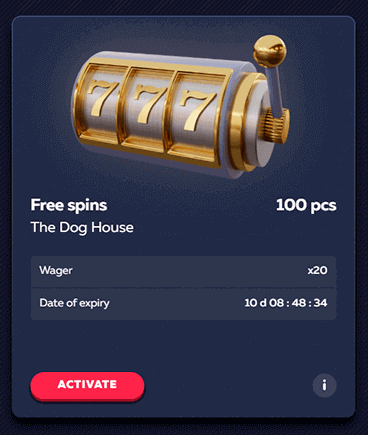 Bonuses and Promotions at Vavada