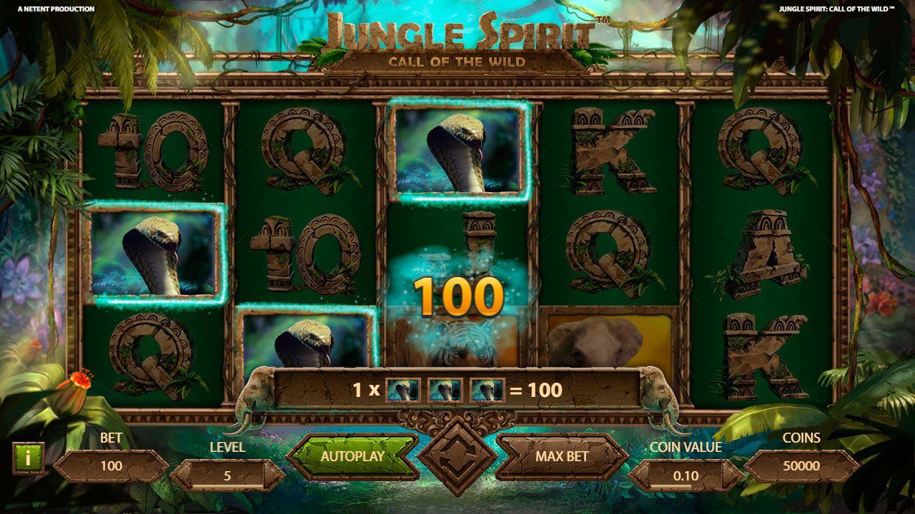 Gaming process at Jungle Spirit: Call of the Wild slot machine