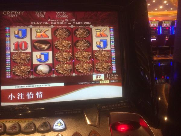 Paul Newey's wins in slot machines Paul Newey's wins in slot machines