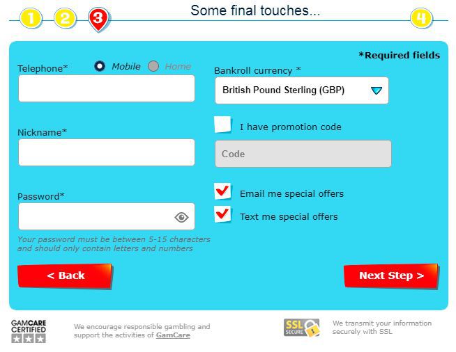 Some final touches Some final touches